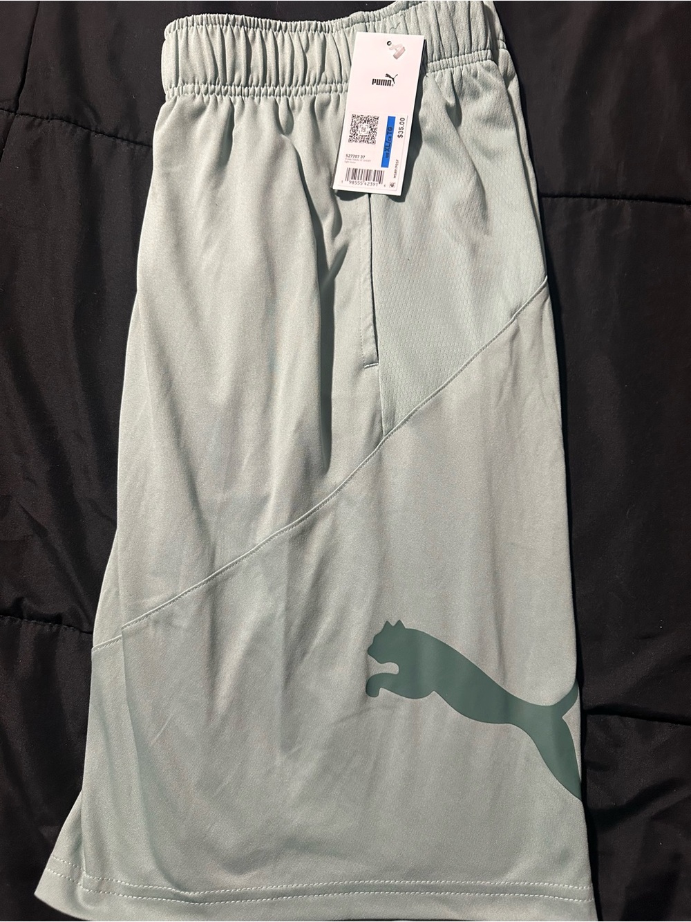 Bundle Consisting of 2 Puma Men’s Athletic Shorts